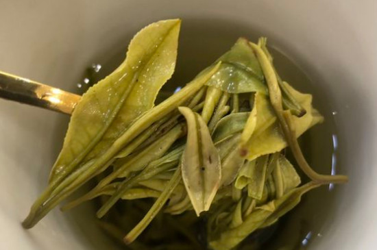 新舊白茶怎么區(qū)分，怎么分辨白茶是新還是舊