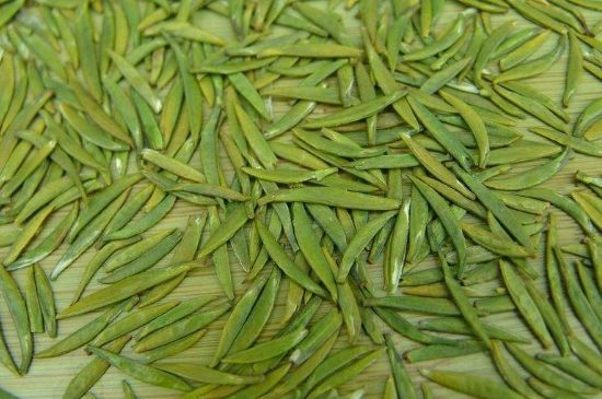 竹葉青和毛尖的區(qū)別，毛尖和竹葉青怎么分辨？