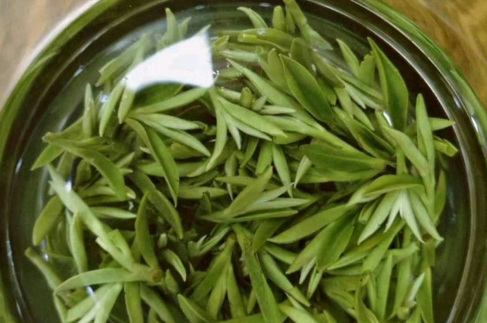 什么綠茶茶葉唇齒留香，哪個品種綠茶香氣好？