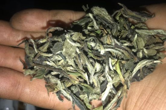 7年壽眉和2年白牡丹哪個(gè)好，老白茶壽眉與白牡丹的口感區(qū)別