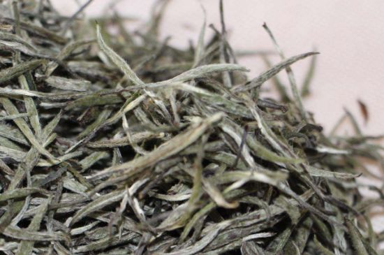 什么人不能喝白茶，白茶不宜什么人喝？