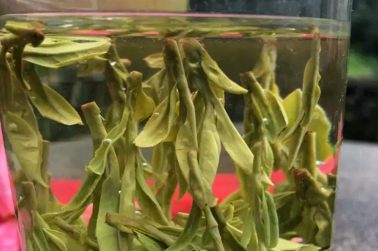 什么綠茶最香最好喝，綠茶口感與香氣排名