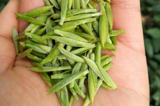 什么綠茶味道濃香，那個綠茶比較濃香？