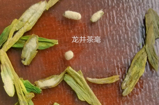 西湖龍井茶毫和發(fā)霉區(qū)別圖片，長(zhǎng)霉的龍井茶葉會(huì)是什么樣？