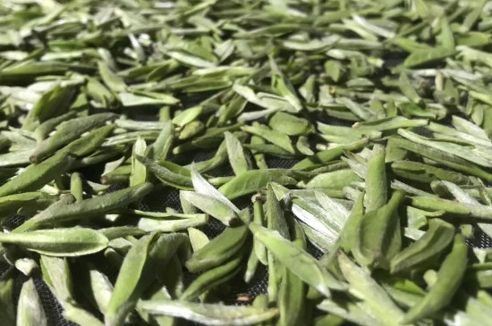 白毫銀針年份久的有什么香，陳年白毫銀針的香氣