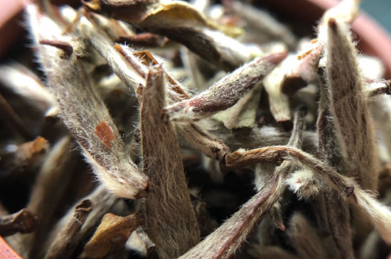 白毫銀針年份越久越好嗎，銀針白毫是否越陳越好