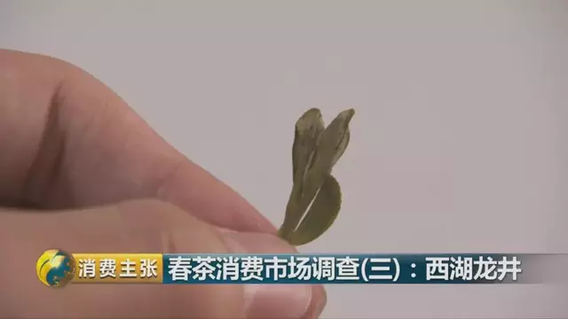 龍井群體種和43號的區(qū)別圖片，龍井43和群體種哪個好喝？