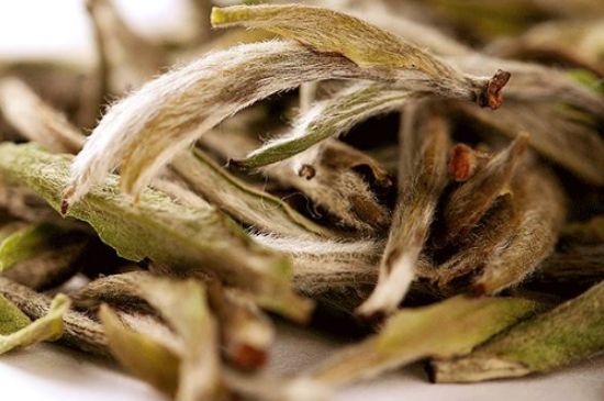 荒野銀針有什么特點(diǎn)，荒野銀針的味道口感咋樣？