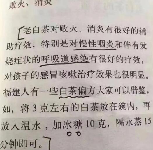 老白茶上火還是去火？夏季喝煮的老白茶會(huì)容易上火！