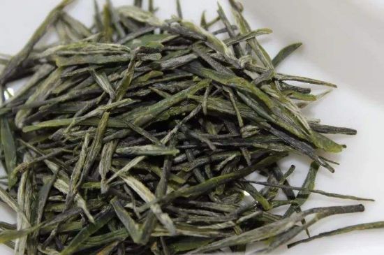 高山云霧茶屬于什么茶，高山云霧茶哪里的最好