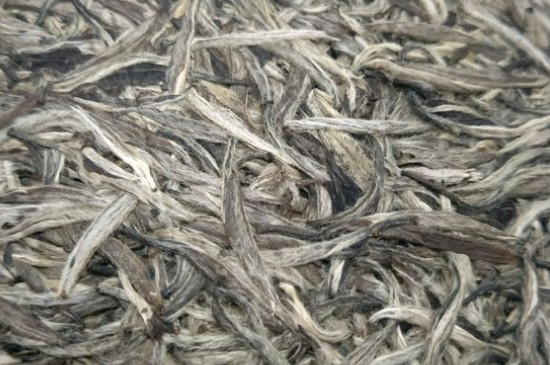 白毫銀針年份久的有什么香，陳年白毫銀針的香氣