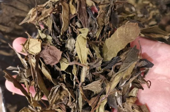 新舊白茶怎么區(qū)分，怎么分辨白茶是新還是舊