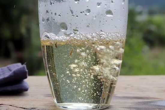 三年白茶賽砒霜，這是真的嗎？