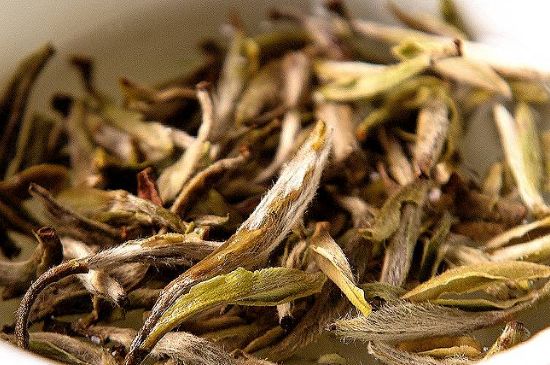 荒野銀針市場(chǎng)價(jià)多少，真正的荒野白毫銀針多少錢(qián)？