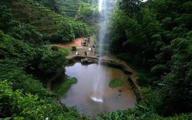 武夷山為什么盛產(chǎn)茶葉，武夷山茶為什么好喝？