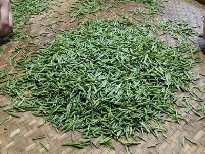 金駿眉幾年可以算陳茶，金駿眉新茶好還是老茶