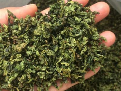 鐵觀音毛茶茶?？梢耘菟葐?，鐵觀音帶梗是不是好茶？