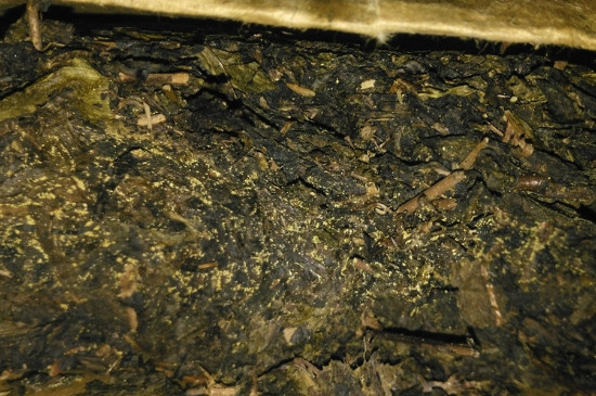 黑茶茯茶保存五大忌，茯茶收藏的注意事項(xiàng)