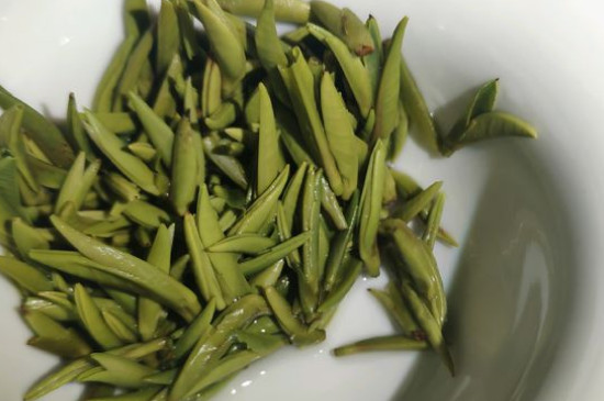 竹葉青茶怎么泡，竹葉青如何沖泡