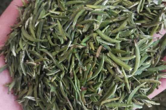 金壇雀舌算不算好茶，金壇雀舌屬于什么檔次茶葉？