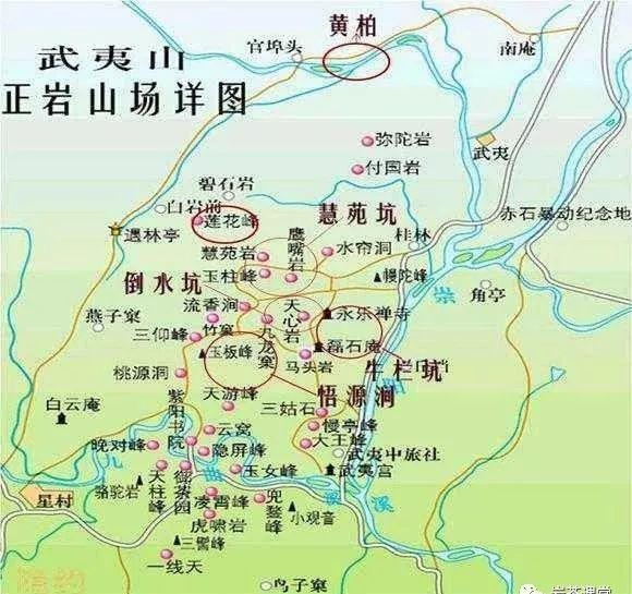 肉桂茶和大紅袍哪個貴，武夷山肉桂與大紅袍的價格比較