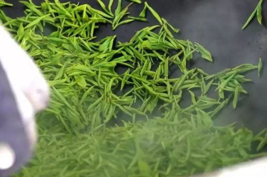 碧螺春為什么泡水渾濁，碧螺春茶葉泡水感覺很臟是混濁的