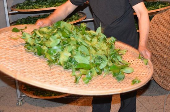 鐵觀音加香精騙局，鐵觀音的香味是添加香精了嗎？