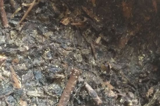 黑茶茯茶保存五大忌，茯茶收藏的注意事項(xiàng)