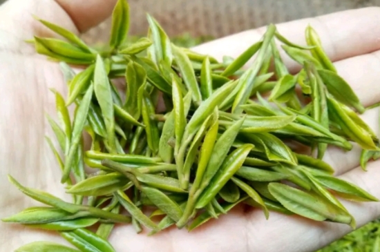 什么是雪前龍井茶，明前、雨前、雨后龍井有什么區(qū)別？