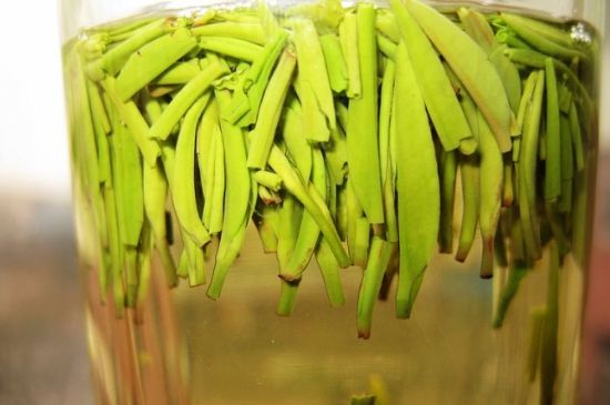 雀舌為何喝著是苦的，雀舌味道怎么那么苦澀？