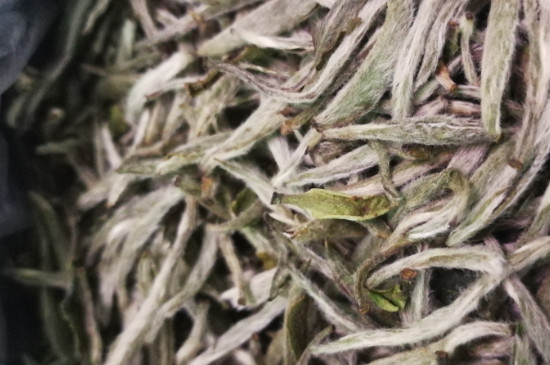 白毫銀針年份越久越好嗎，銀針白毫是否越陳越好