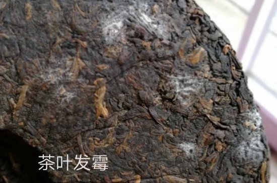 西湖龍井茶毫和發(fā)霉區(qū)別圖片，長(zhǎng)霉的龍井茶葉會(huì)是什么樣？